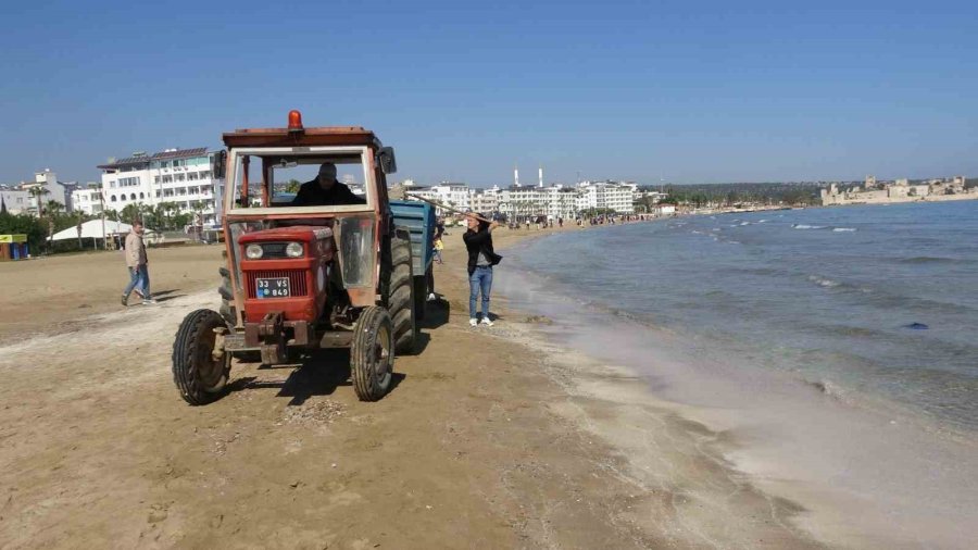 Zehirli Sakın Dokunmayın: Denizanaları Sahilden Toplanıyor