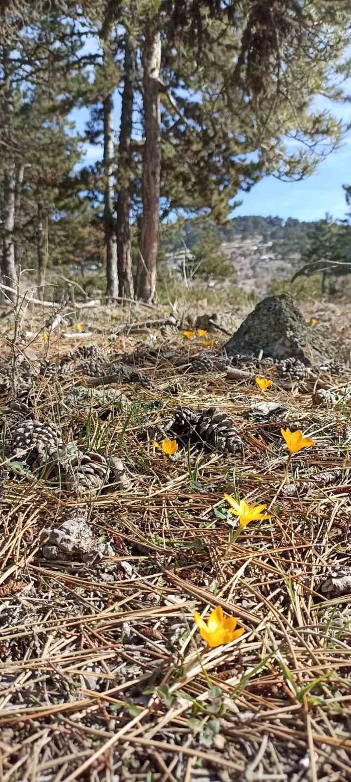 Karlar Altında 14 Kilometrelik Yürüyüş