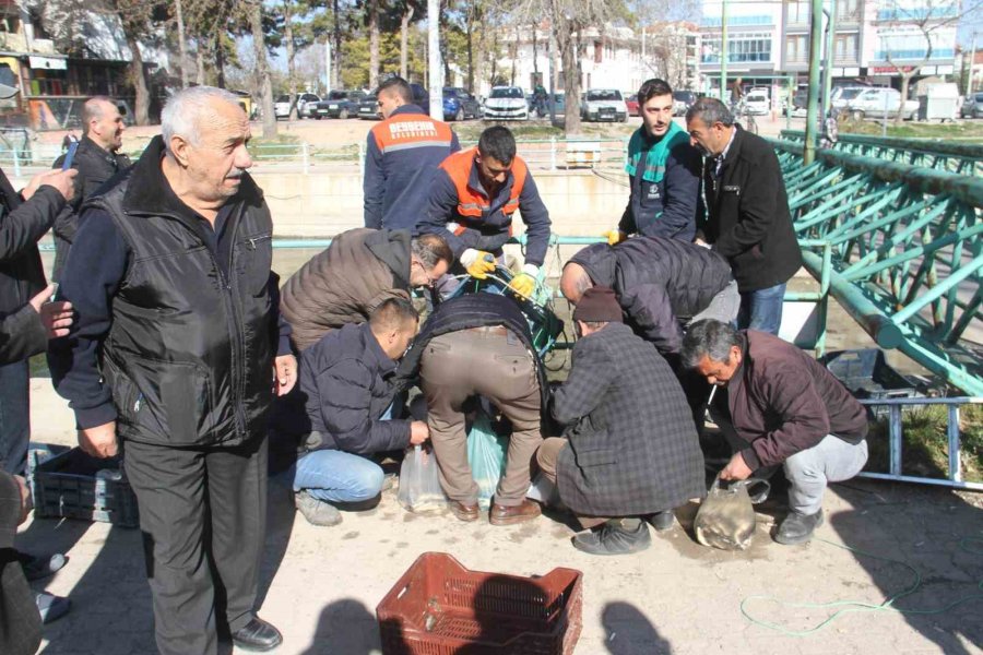 Beyşehir Gölü’nden Kanala Dökülen Balıkları Toplamak İçin Birbirleriyle Yarıştılar