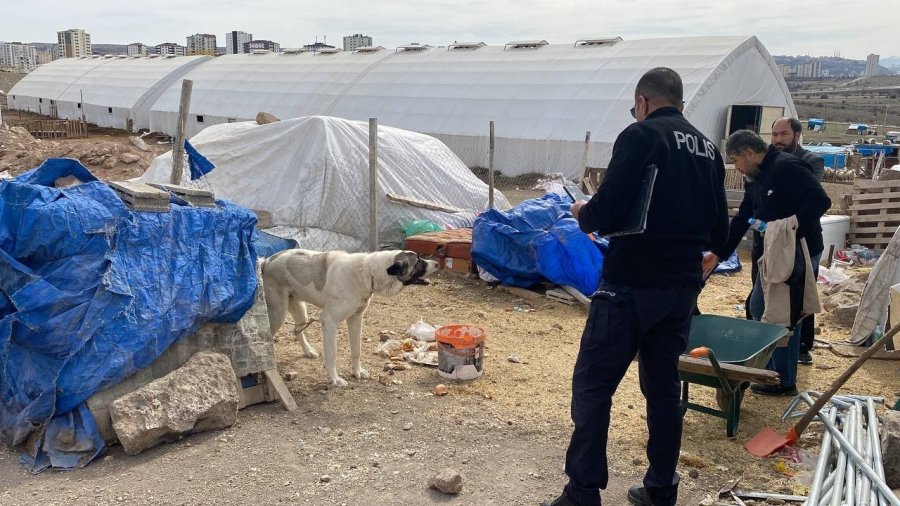 Köpeğin Isırdığı Çocuk Ağır Yaralandı