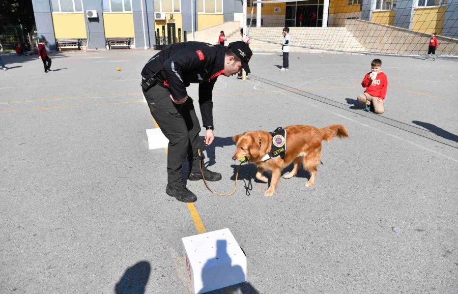 Minik Öğrenciler Arama Kurtarma Köpeğiyle Birlikte Deprem Tatbikatı Yaptı