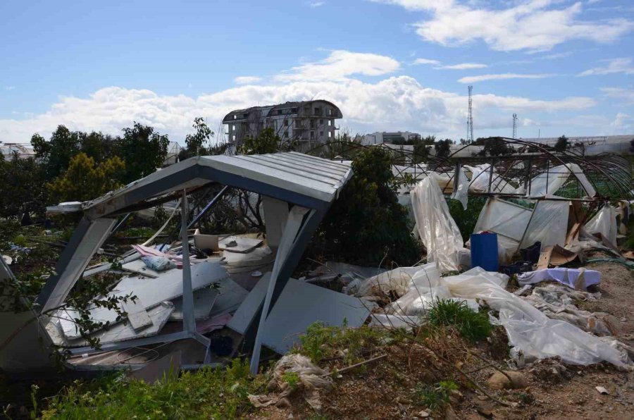 Büyükşehir Belediyesi, Hortumdan Etkilenen Alanyalı Üreticilerin Yaralarını Sarıyor