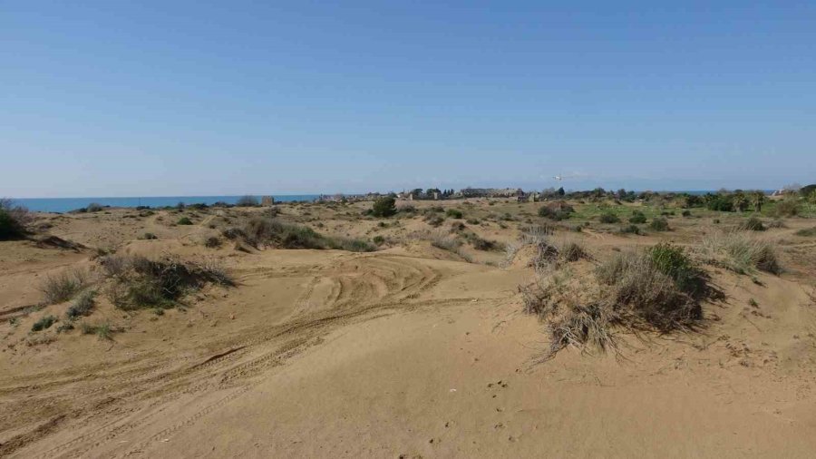 Tel Örgüyle Çevrili Koruma Altındaki Sit Alanında Off-road Yapıp Kum Zambaklarına Zarar Veriyorlar