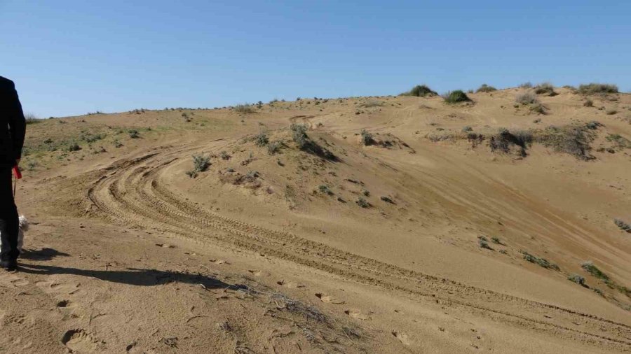 Tel Örgüyle Çevrili Koruma Altındaki Sit Alanında Off-road Yapıp Kum Zambaklarına Zarar Veriyorlar