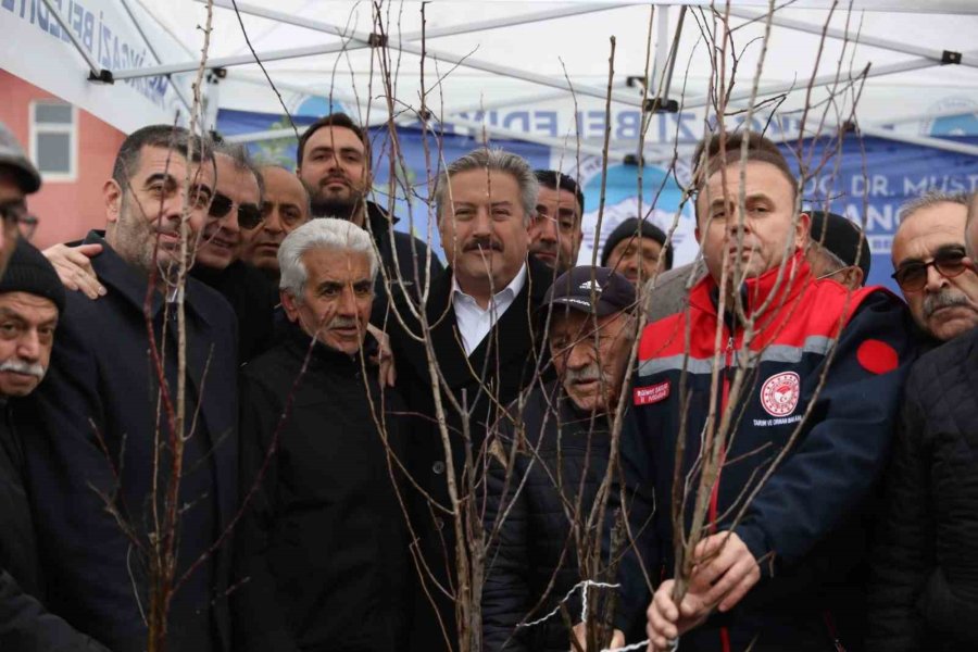 Melikgazi’de 535 Bin Metrekare Meyve Bahçesi Olacak