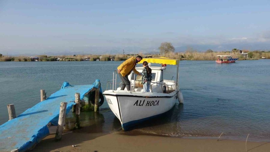 Kuzu Balığı Diye Çekti Köpek Balığı Çıktı