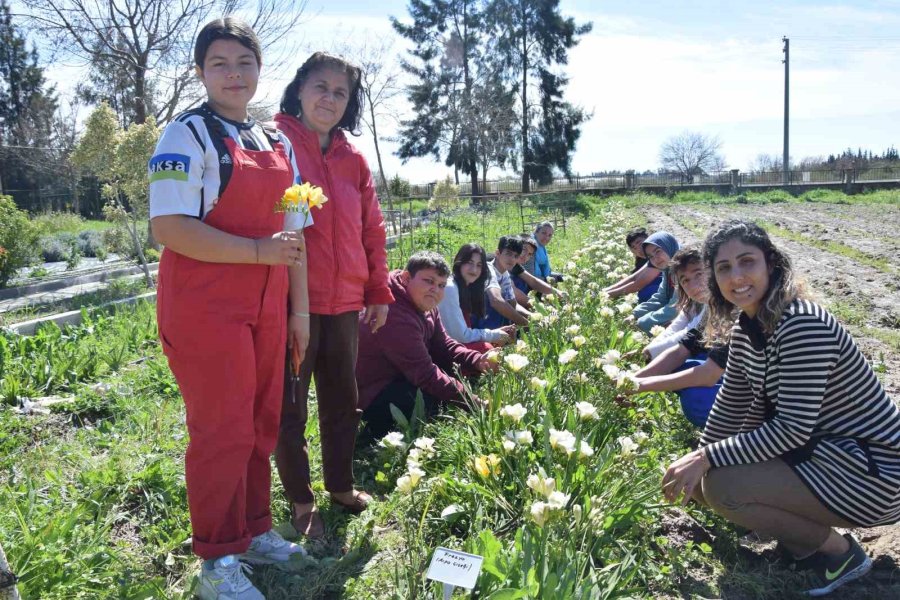 Tarım Lisesi Öğrencileri İlk Defa Kesme Çiçek Yetiştirdi