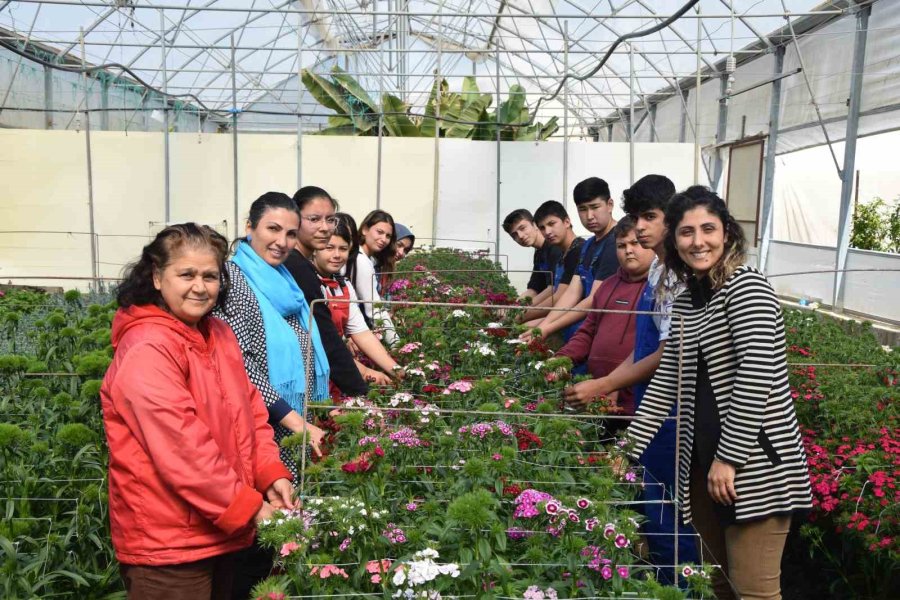 Tarım Lisesi Öğrencileri İlk Defa Kesme Çiçek Yetiştirdi