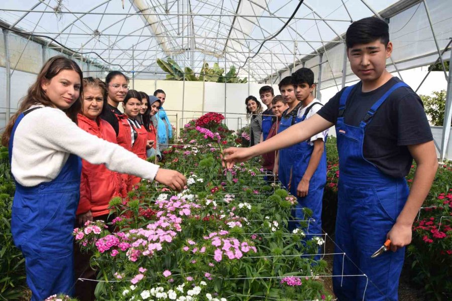 Tarım Lisesi Öğrencileri İlk Defa Kesme Çiçek Yetiştirdi