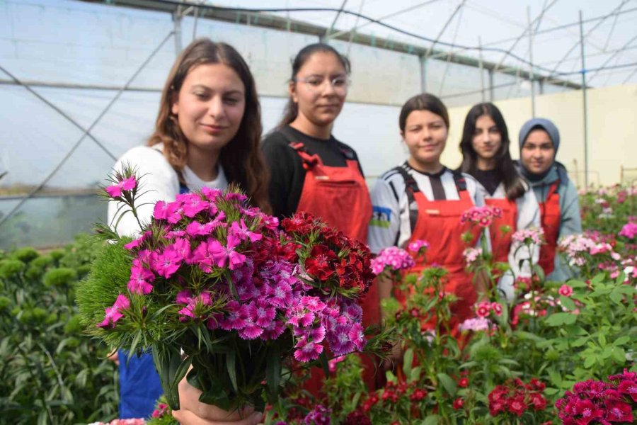 Tarım Lisesi Öğrencileri İlk Defa Kesme Çiçek Yetiştirdi