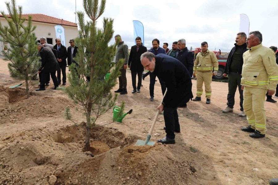 Niğde’de Bal Ormanı Kurulumunun 2. Etabı Gerçekleştirildi