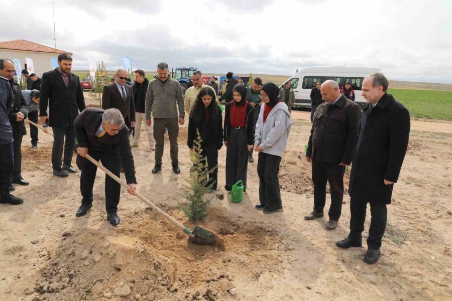 Niğde’de Bal Ormanı Kurulumunun 2. Etabı Gerçekleştirildi