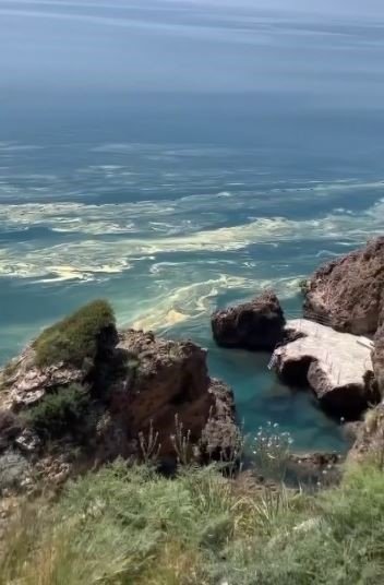 Antalya’da Deniz Kıyılarında Tedirgin Eden Görüntüye Uzmanından Açıklama