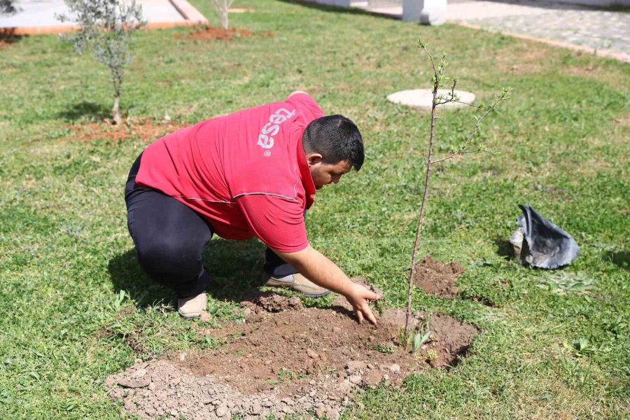 Özel Bireyler Ağaç Dikip Can Suyunu Verdi