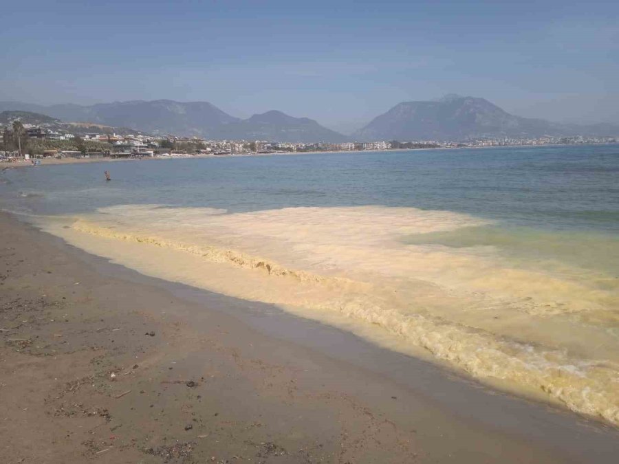 Antalya’da Deniz Kıyılarında Tedirgin Eden Görüntüye Uzmanından Açıklama