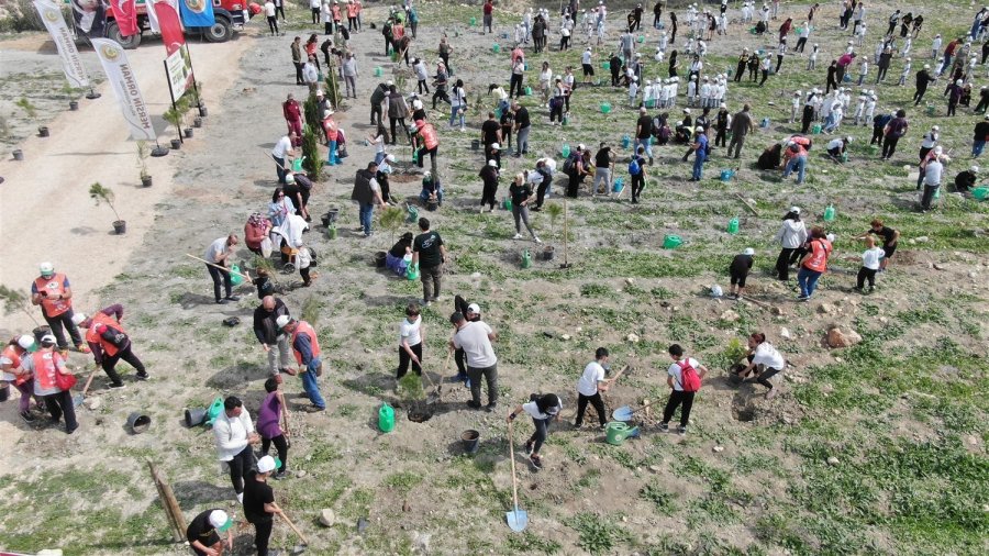 Mersin’de Bin Fidan Toprakla Buluşturuldu