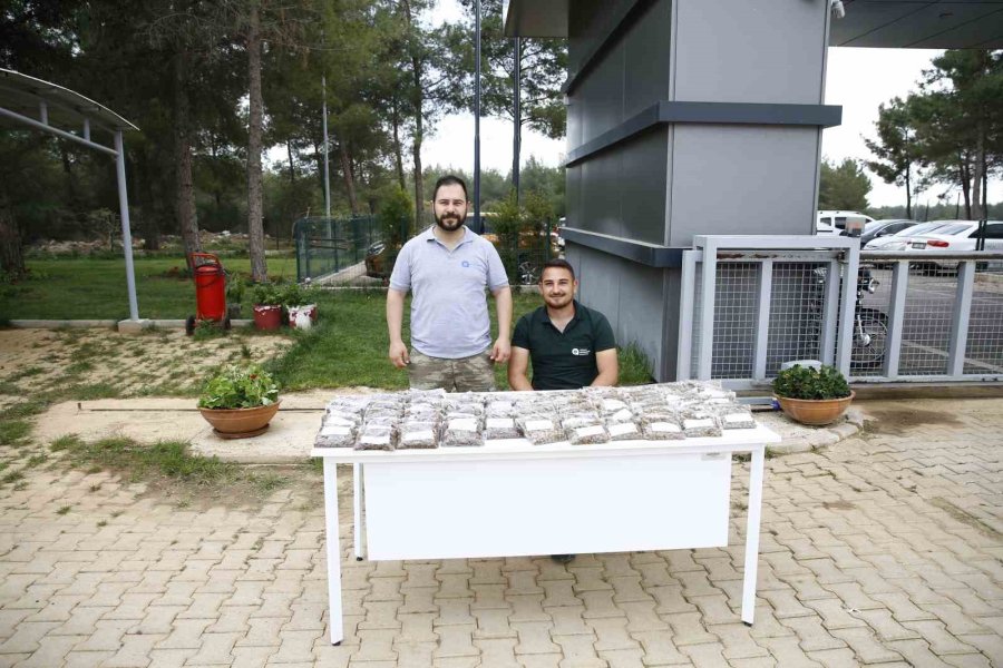 Büyükşehir Sokak Hayvanları Bakım Merkezi Yoğun İlgi Görüyor