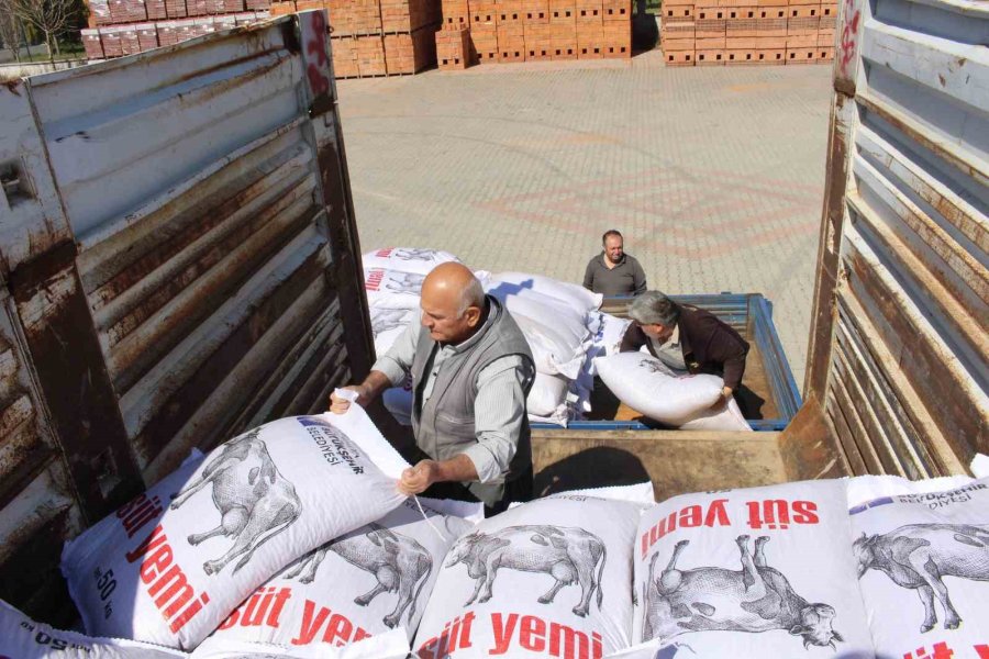 Büyükşehir Belediyesi’nin Süt Yemi Desteği Sürüyor