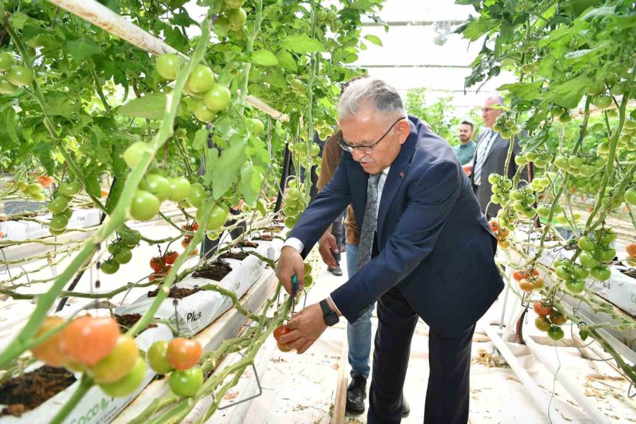 Büyükkılıç, Tarıma Dayalı Sera İhtisas Osb Yapılacak Alanda İncelemelerde Bulundu