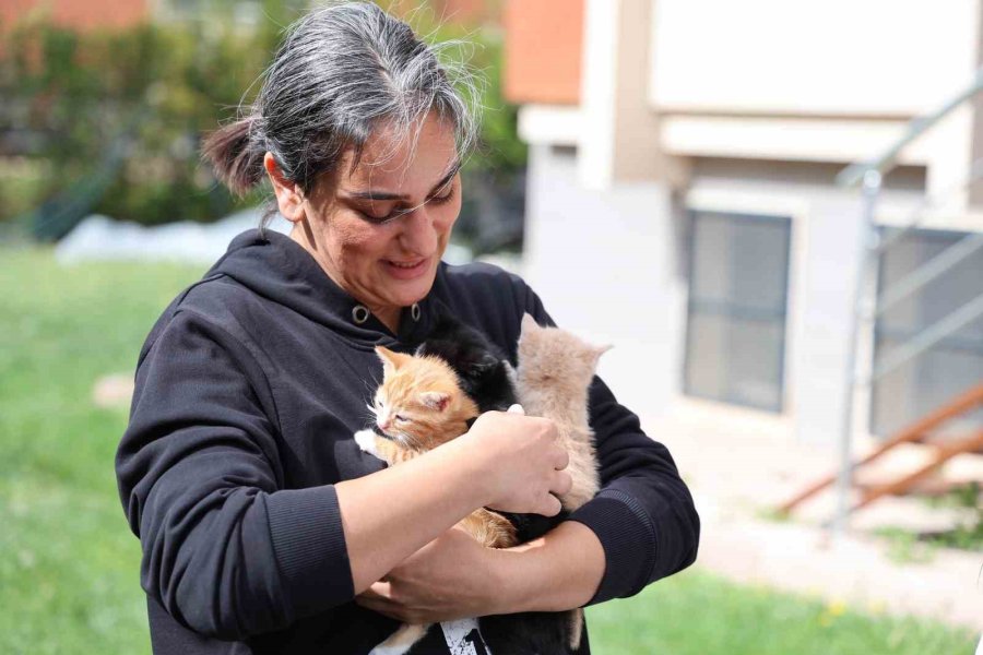 Bu Kadarına Pes Dedirtti, 4 Yavru Kediyi Çöpe Attı