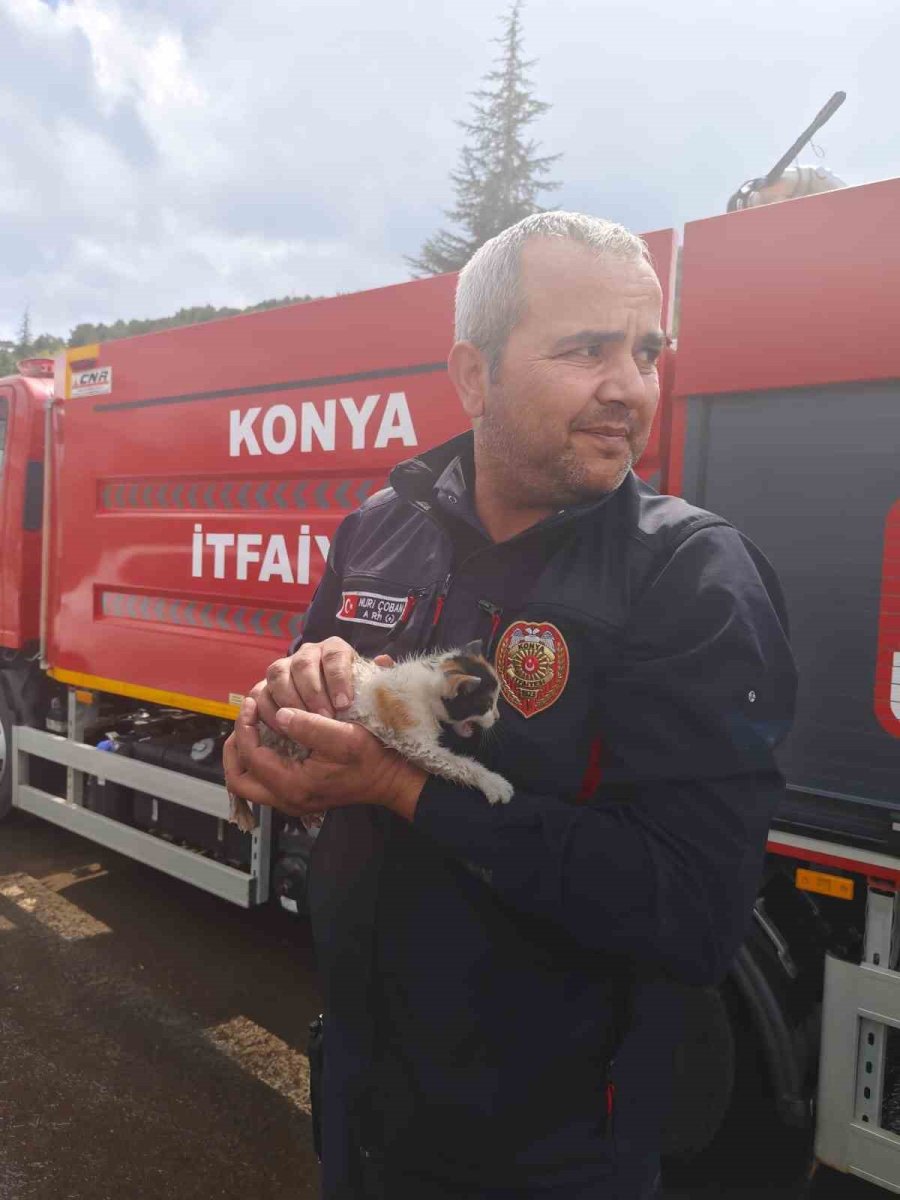 Konya’da Otomobilin Motoruna Sıkışan Kedi Kurtarıldı