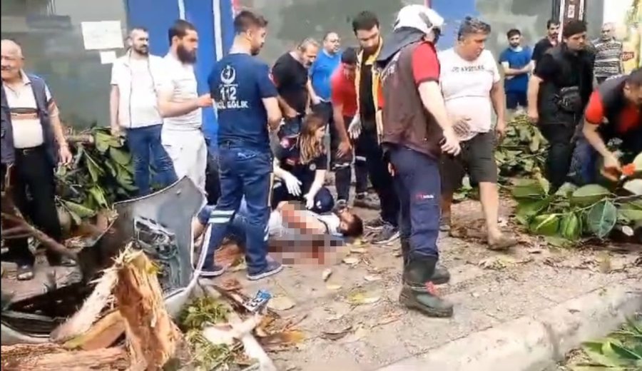 Otomobil Yayalara Çarptı, Ağacı Devirdi: 1 Ölü, 3 Yaralı