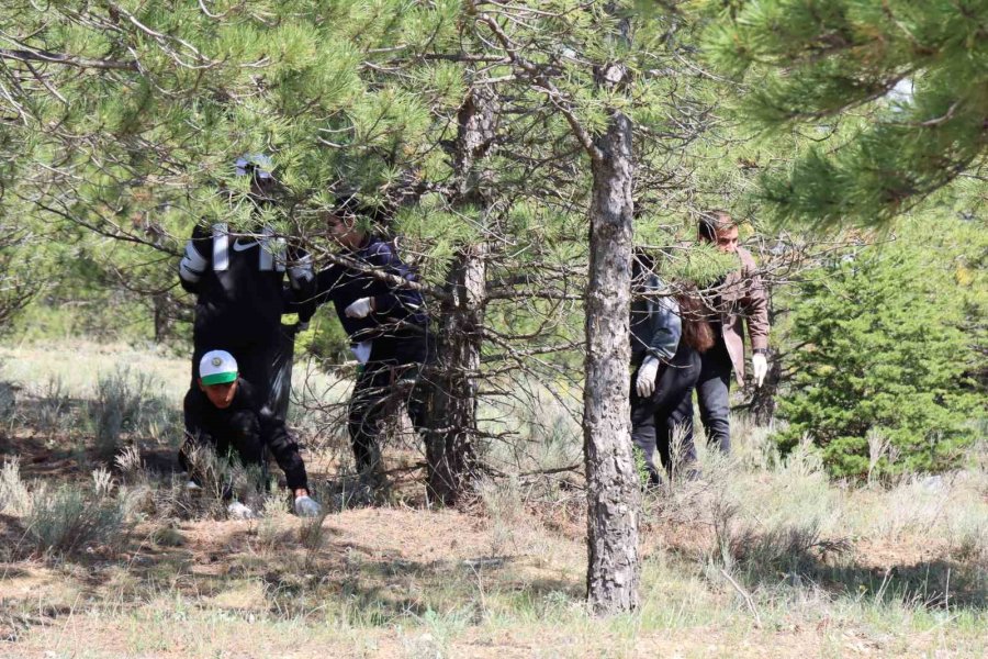 Günyüzü’ndeki Ormanlık Alanda Mıntıka Temizliği Yapıldı