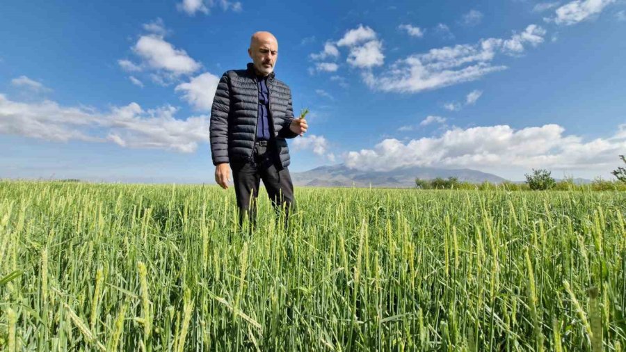 Karaman’da Dolu Ve Sel 100 Bin Dekar Ekili Alanda Zarara Yol Açtı