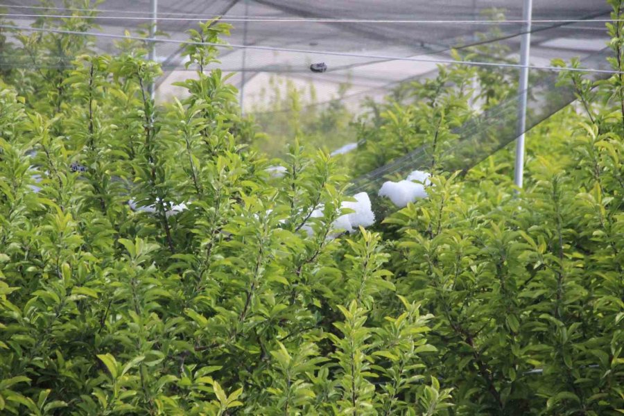 Karaman’da Dolu Ve Sel 100 Bin Dekar Ekili Alanda Zarara Yol Açtı