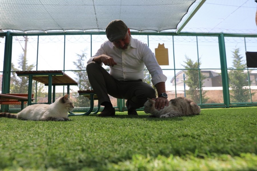 Kayseri’de İlk Olan Küçük Dostlar Kedi Kasabası’na Bir Yılda Rekor Ziyaret