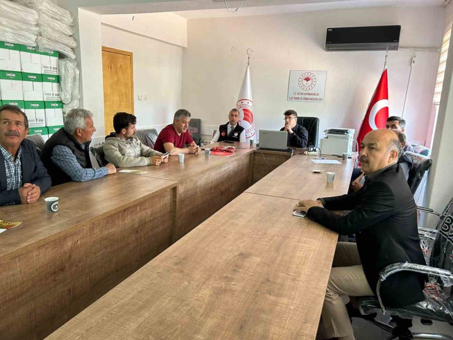 Konya’da Çiftçilere Yem Bitkisi Üretimi Anlatıldı