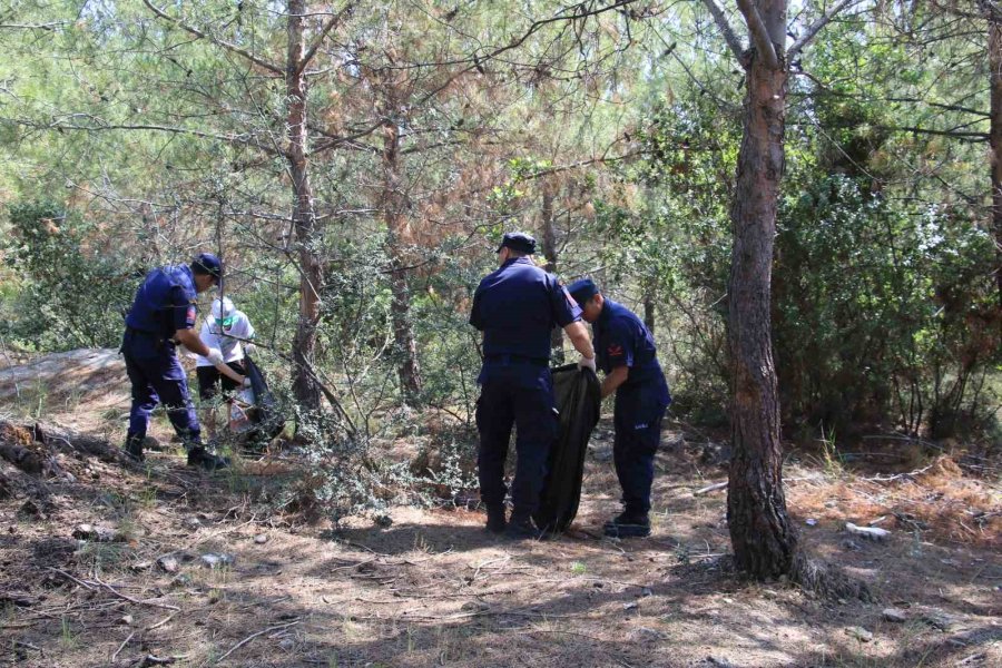 Öğrenciler Ormanlık Alanda Temizlik Yaptı