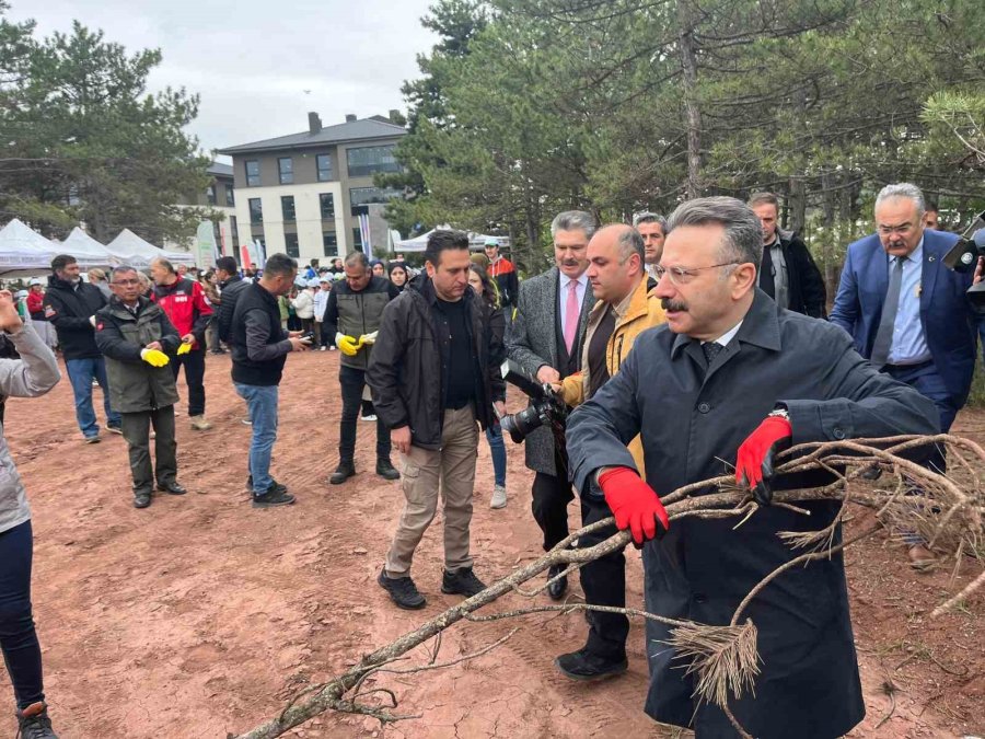 Eskişehir’de "orman Benim" Etkinliğinde, Yangınlara Neden Olabilecek Malzemeler Toplandı