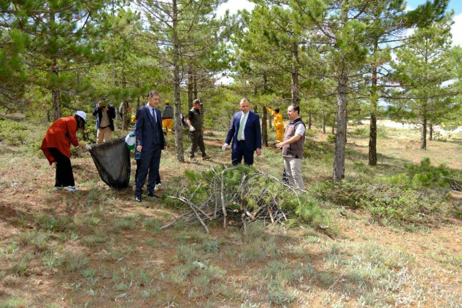 Karaman’da ’orman Benim’ Etkinliği Düzenlendi