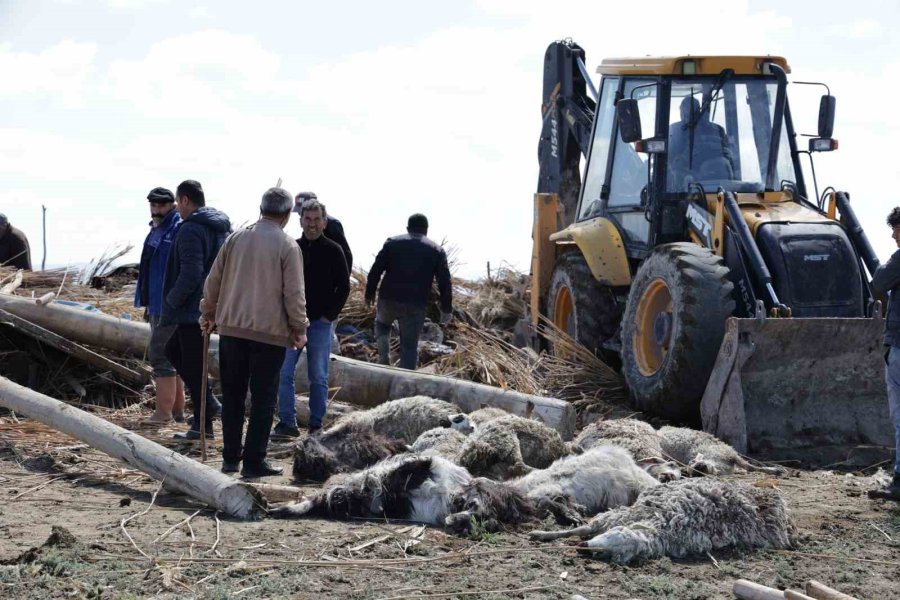 Aksaray’da Çöken Mandırada Kurtarma Çalışmaları Devam Ediyor