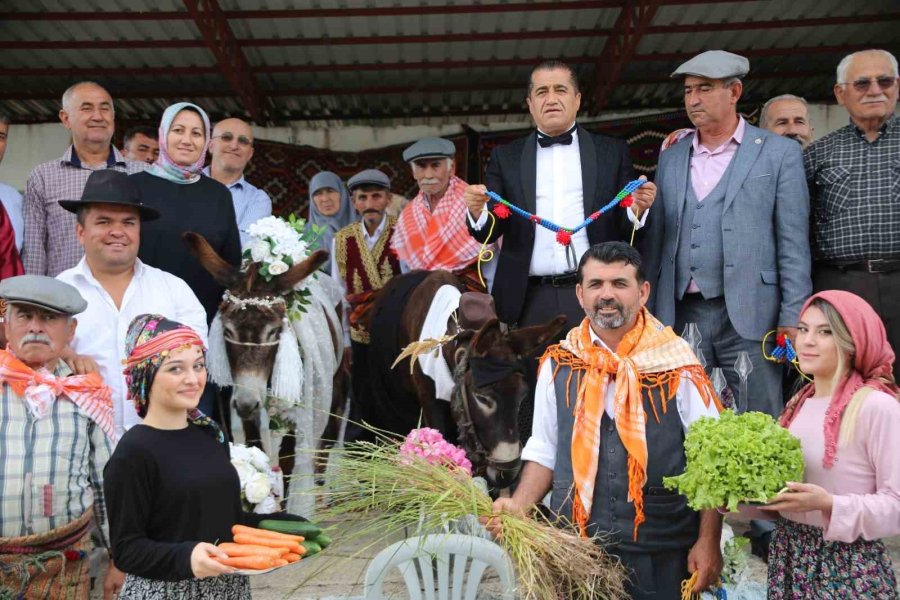 Nesli Tükenmesin Diye Eşeklere Sembolik Düğün