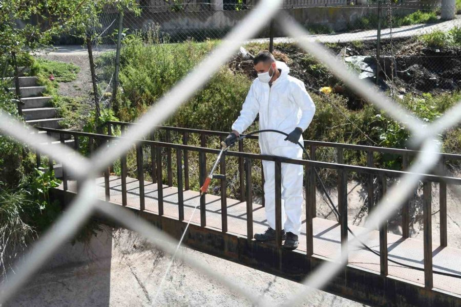 Aksaray Belediyesi Dere Ve Göletlerde Erken Larva Mücadelesi Başlattı