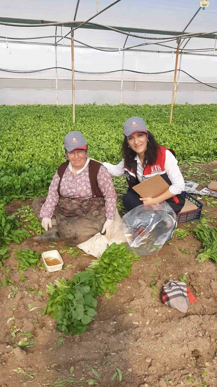 Eskişehir’de Sağlıklı Tarımsal Üretim Çalışmaları Devam Ediyor