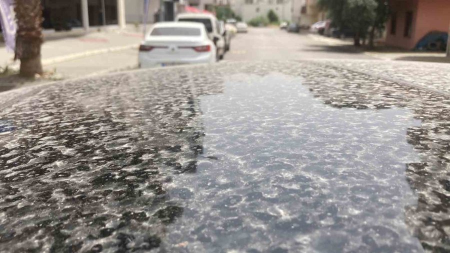 Mersin’i Toz Bulutu Kapladı, Araçlar Çamura Bulandı