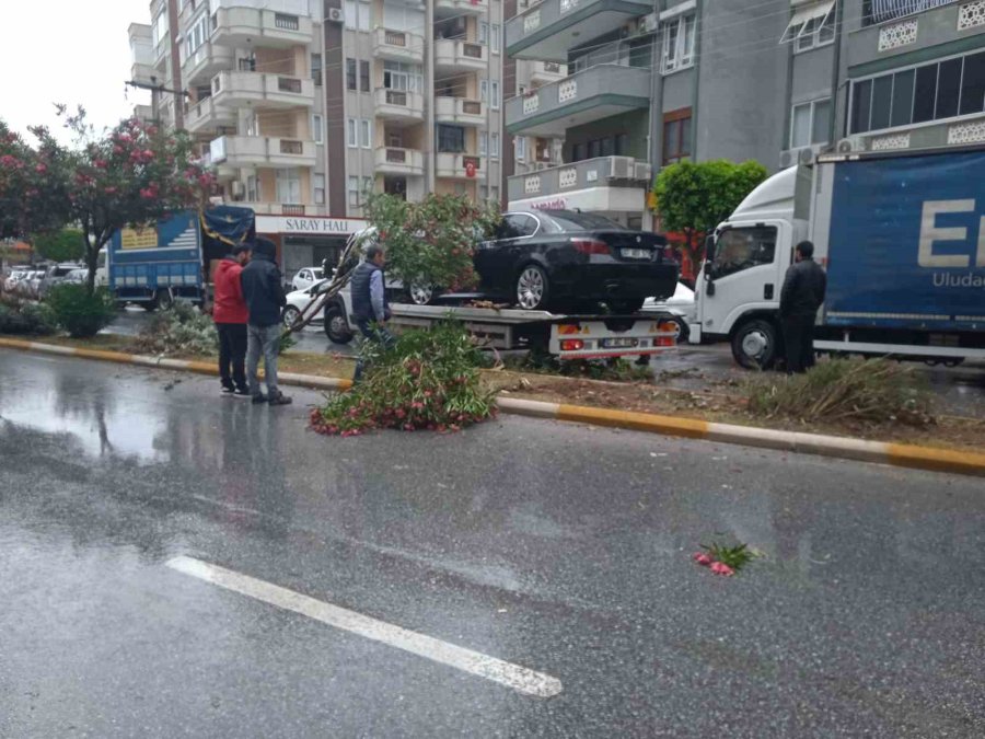 Alanya’da Refüje Çıkan Otomobil Ağaçları Devirdi