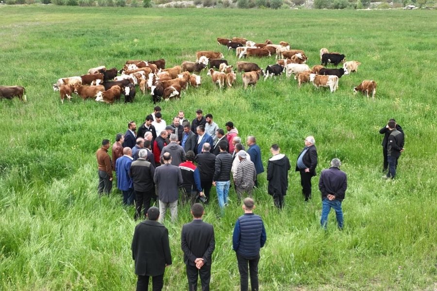 Büyükşehir’in Mera Vasfı Kazandırdığı 600 Dekar Alan 6 Ayda Yeşile Büründü