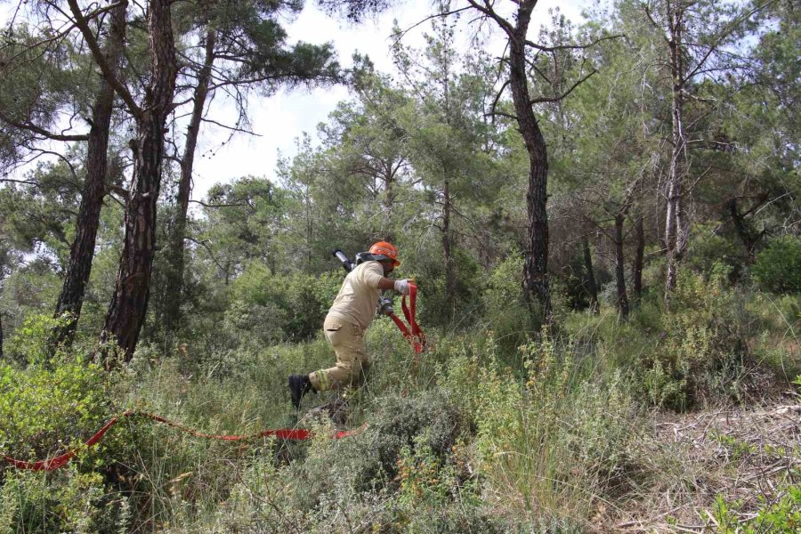 Mersin, Orman Yangın Sezonuna Hazır