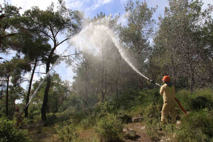 Mersin, Orman Yangın Sezonuna Hazır