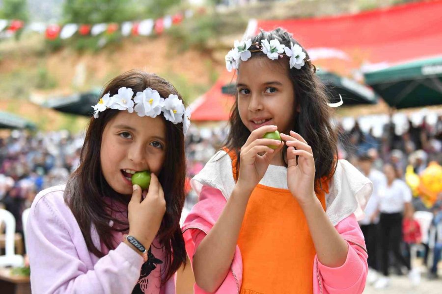 14. Gezende Erik Festivali Yapıldı