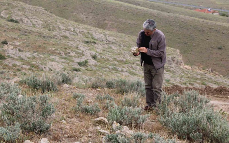 Kayseri’nin 10 Milyon Yıllık Ormanı Bulundu