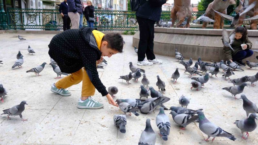 Nazilli’den Gelen Turistler Eskişehir’deki Kuşları Elleriyle Besledi