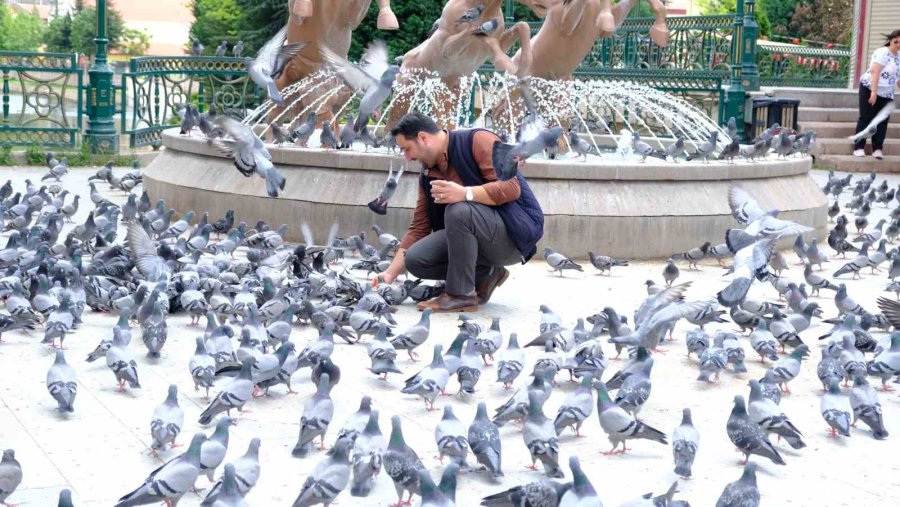 Nazilli’den Gelen Turistler Eskişehir’deki Kuşları Elleriyle Besledi