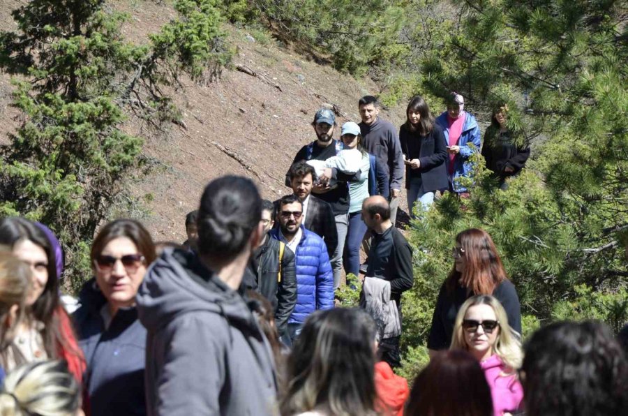 Obeziteye Dikkat Çekmek İçin Yürüdüler