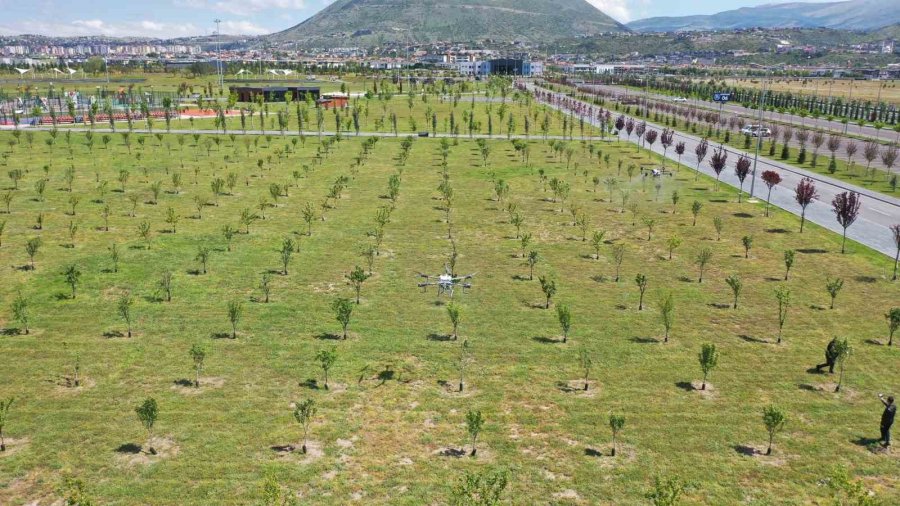 Kayseri Büyükşehir’den Park Ve Mesire Alanlarında Drone İle İlaçlama Hizmeti