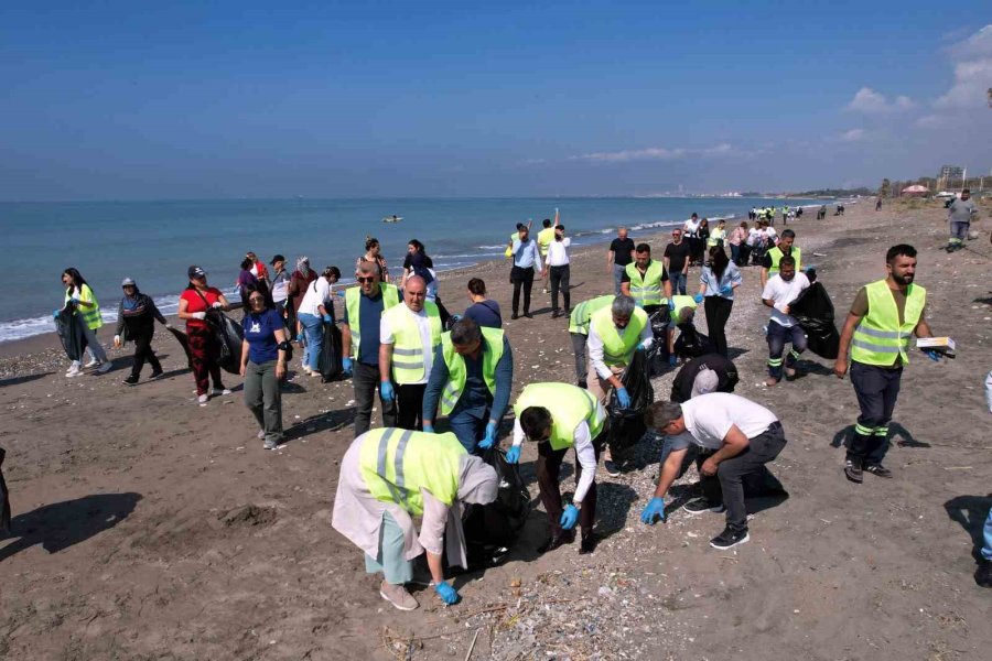 Caretta Carettaların Yumurtlama Alanlarından Kazanlı Sahili Temizlendi